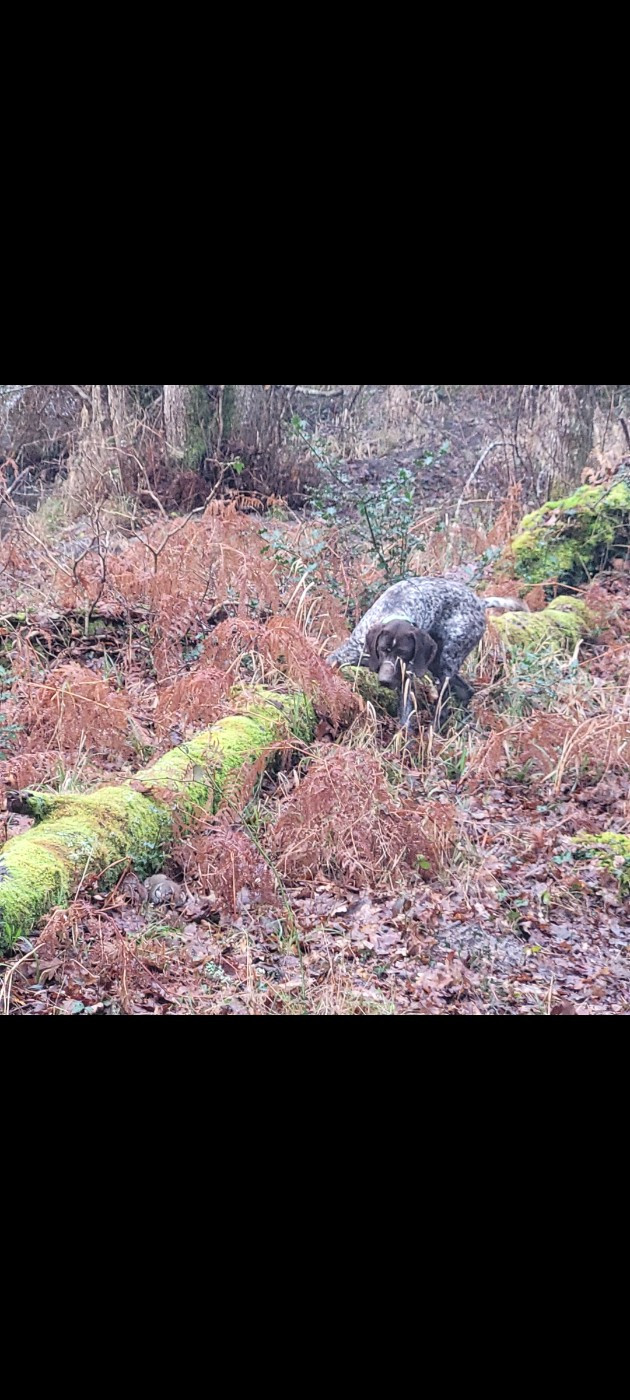 aldo Du Château De La Punta