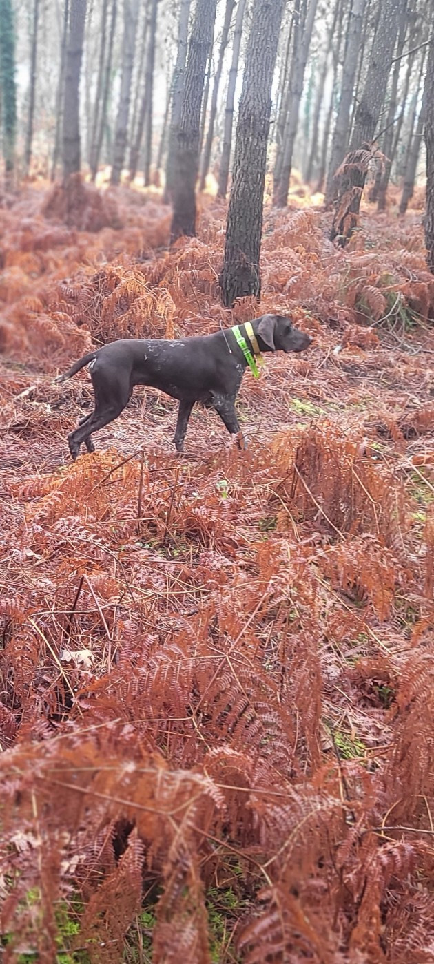 armagnac Du Pigeonnier De Flo