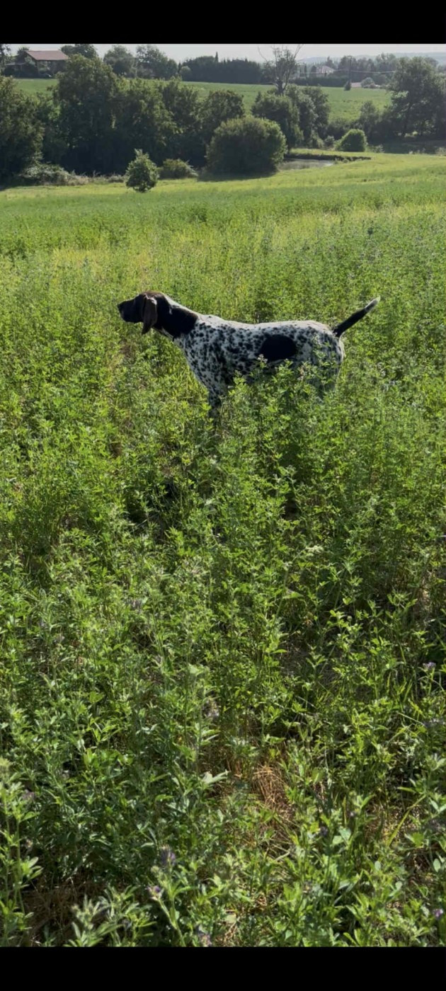 Vicky des Mannes Fleuries